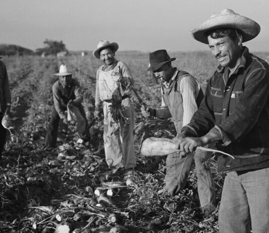 Monterey County supervisors to honor original Bracero workers