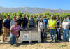 2023 wine grape harvest begins in Monterey County