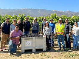 2023 wine grape harvest begins in Monterey County