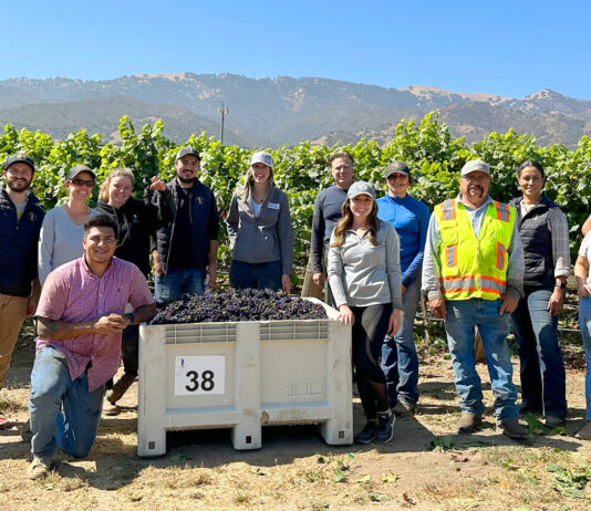 2023 wine grape harvest begins in Monterey County