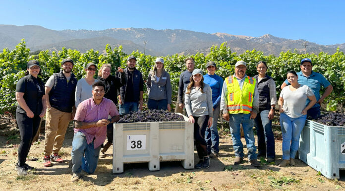 2023 wine grape harvest begins in Monterey County