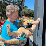 Image for display with article titled Monterey County animal shelter’s expansion project tops out