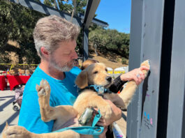Monterey County animal shelterās expansion project tops out