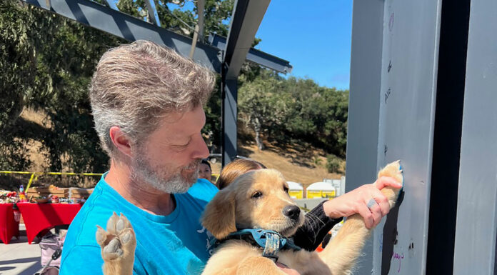 Monterey County animal shelterās expansion project tops out
