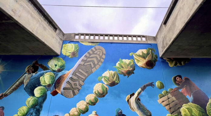 Clean California Murals highlight Salinas community culture