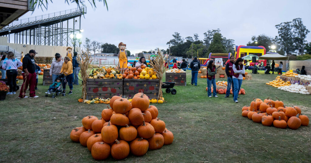 Fall Round Up Festival offers family fun at Salinas Sports Complex Salinas Valley Tribune