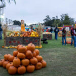 Image for display with article titled Fall Round Up Festival offers family fun at Salinas Sports Complex