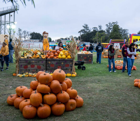 Fall Round Up Festival offers family fun at Salinas Sports Complex