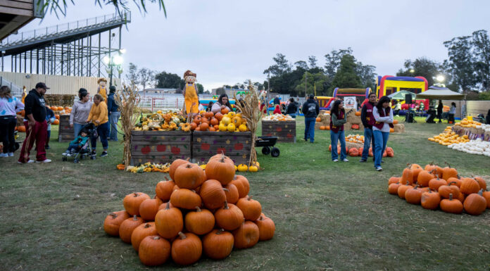 Fall Round Up Festival offers family fun at Salinas Sports Complex