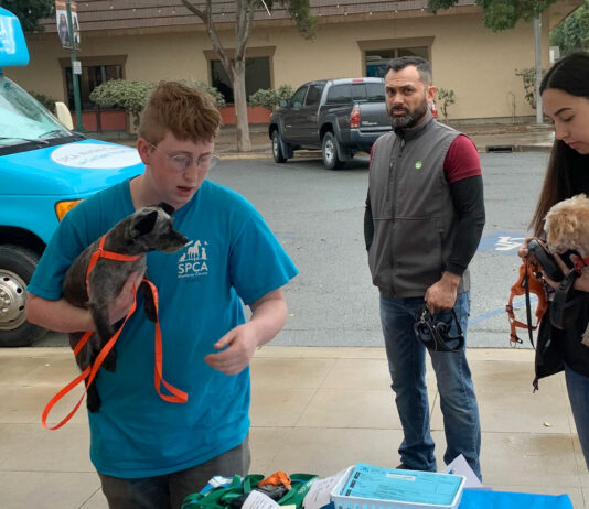 SPCA brings mobile clinic for dogs in Gonzales