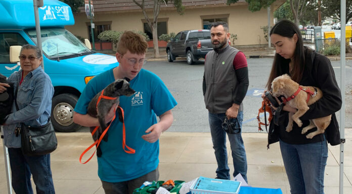 SPCA brings mobile clinic for dogs in Gonzales
