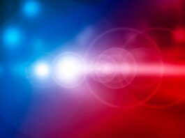 Salinas Valley Police Reports | Published Nov. 1, 2023