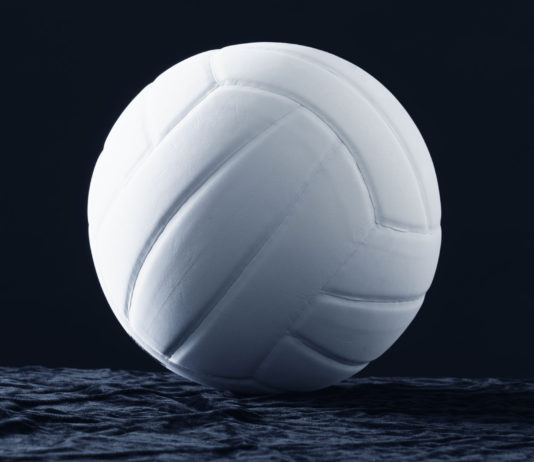 Volleyball | South Monterey County’s standout players earn honors
