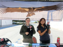 Pinnacles celebrates 10th anniversary as national park