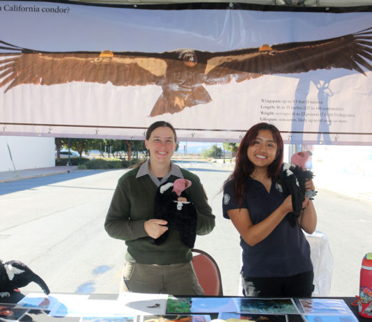 Pinnacles celebrates 10th anniversary as national park