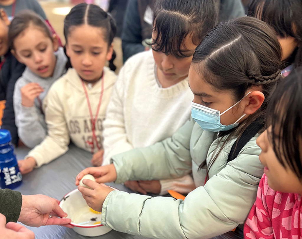 Image for display with article titled Hundreds of South Monterey County students attend 2024 Farm Day