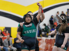 Wrestling | Greenfieldās Vasquez-Gutierrez captures back-to-back CCS titles Greenfield Bruins wrestling
