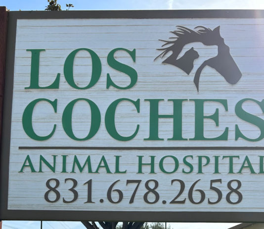 Los Coches Animal Hospital in Soledad announces closure Los Coches Animal Hospital