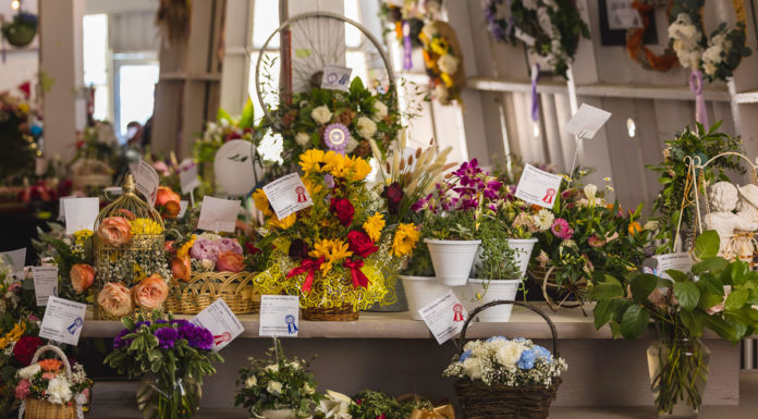 Salinas Valley Fair seeks exhibit entries for 2024 show Salinas Valley Fair exhibits