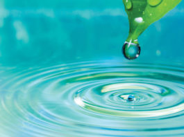 Final workshop about Salinas Valleyās water use set for Saturday Water