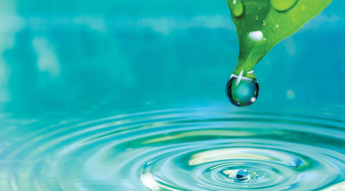 Community workshops exploring regionās water use underway in Salinas Valley Water