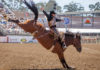 California Rodeo Salinas and Big Week Bull Riding tickets go on sale California Rodeo Salinas bull riding