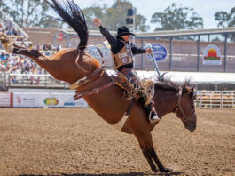 California Rodeo Salinas and Big Week Bull Riding tickets go on sale California Rodeo Salinas bull riding