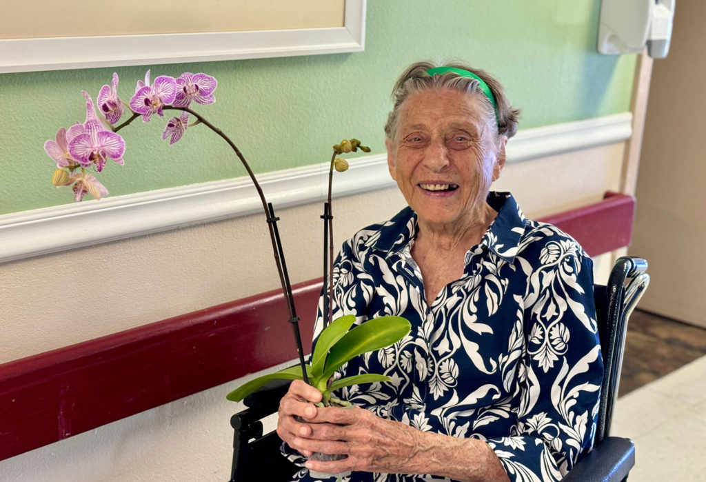 Image for display with article titled Orchid Donation Brightens Eden Valley Seniors’ Lives