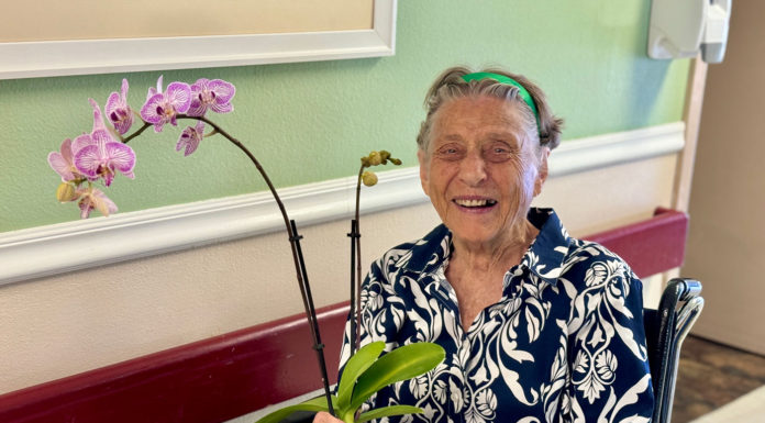 Orchid donation brightens Eden Valley seniorsā lives Eden Valley Care Center orchid