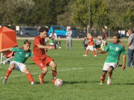 International soccer event, the Orlegi Cup, arrives this week Soccer