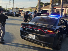 Soledad, Greenfield search warrants lead to arrests for weapon violations
