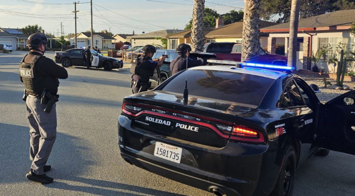 Soledad, Greenfield search warrants lead to arrests for weapon violations