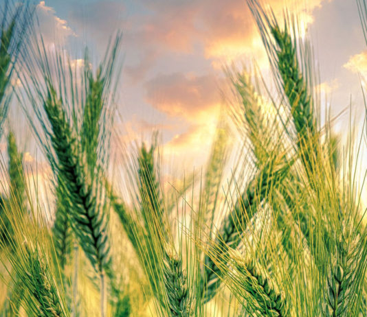 Greenfield company receives $877K for renewable energy production