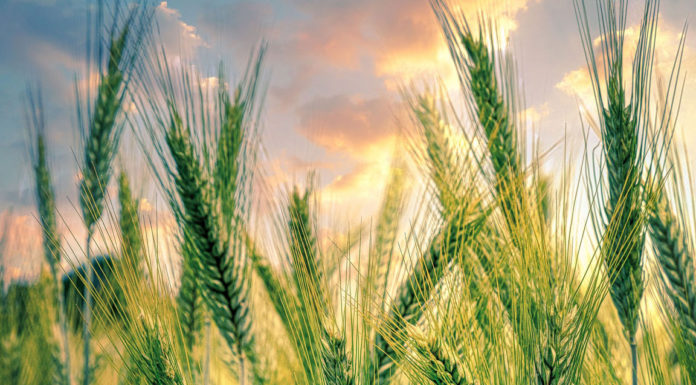 Greenfield company receives $877K for renewable energy production