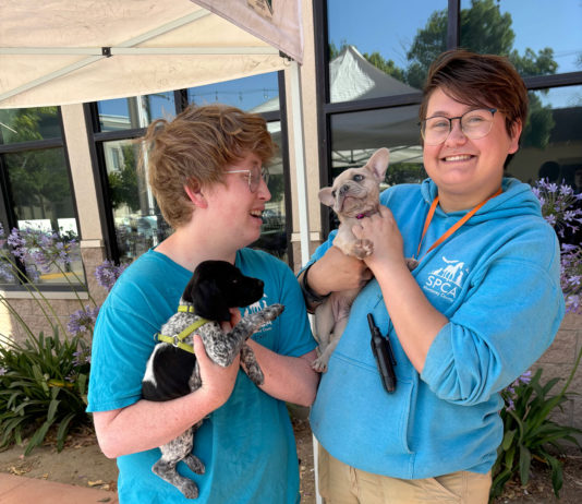 Photo | SPCA Mobile Clinic helps pets in Gonzales