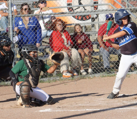 Little League All-Star tournament ends 2nd week Little League
