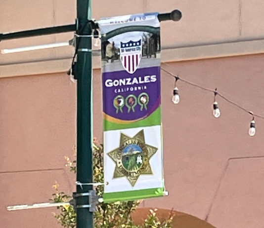 Gonzales installs All-America City banners