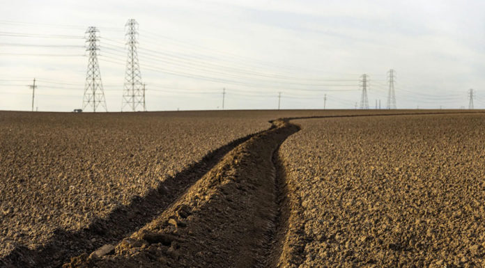 Dangerous herbicide used on California crops banned Monterey County crops