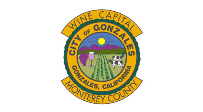 Gonzales proposes sales tax hike with Measure S on November ballot