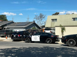 Arrests made in check-cashing scheme in Greenfield