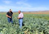 Farm tour in Soledad highlights benefits of investing in agricultural development