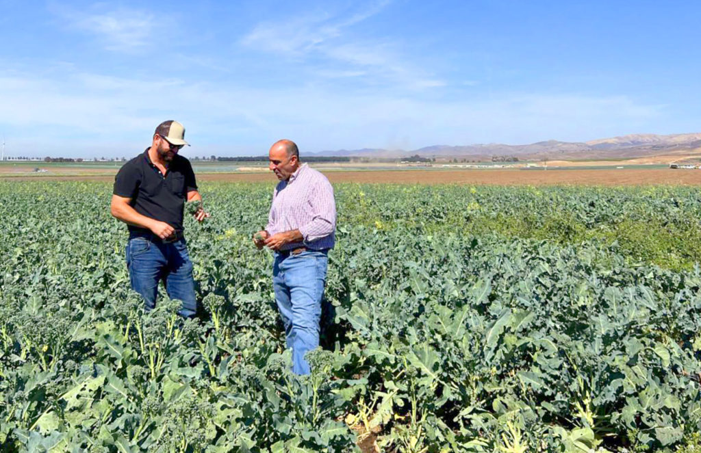 Image for display with article titled Farm Tour in Soledad Highlights Benefits of Investing in Agricultural Development