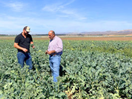 Farm tour in Soledad highlights benefits of investing in agricultural development