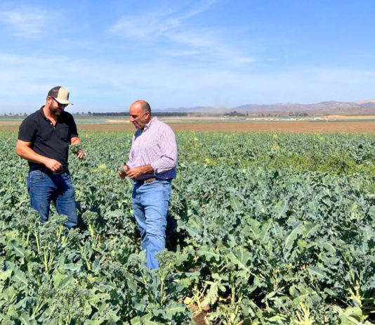 Farm tour in Soledad highlights benefits of investing in agricultural development