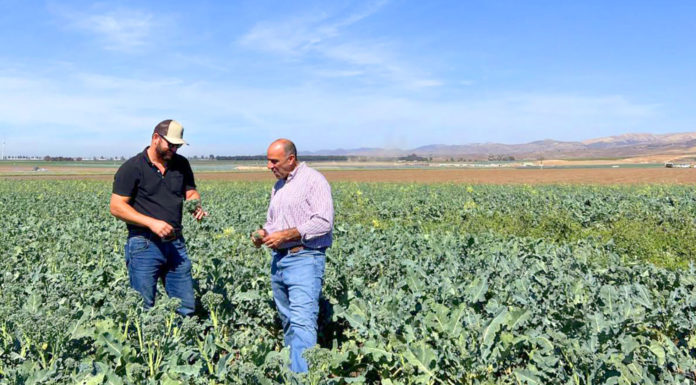 Farm tour in Soledad highlights benefits of investing in agricultural development