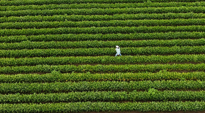 Salinas Valley nonprofit farm featured in national agriculture series