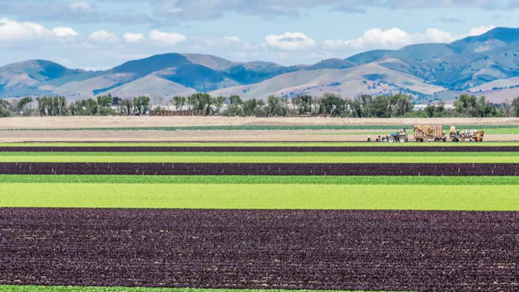 Image for display with article titled Community Input Sought for Flood-Prone Areas to Support Future Groundwater Recharge Efforts in Salinas Valley