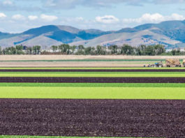 Community input sought for flood-prone areas to support future groundwater recharge efforts in Salinas Valley