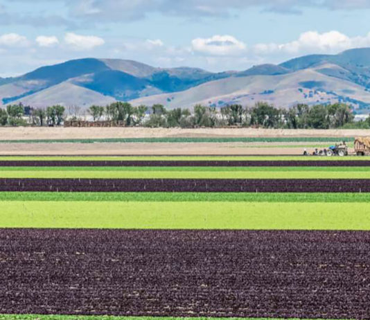 Community input sought for flood-prone areas to support future groundwater recharge efforts in Salinas Valley