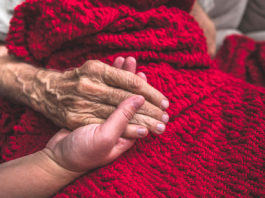 Alliance on Aging presents South County Solutions Summits to address community needs Seniors